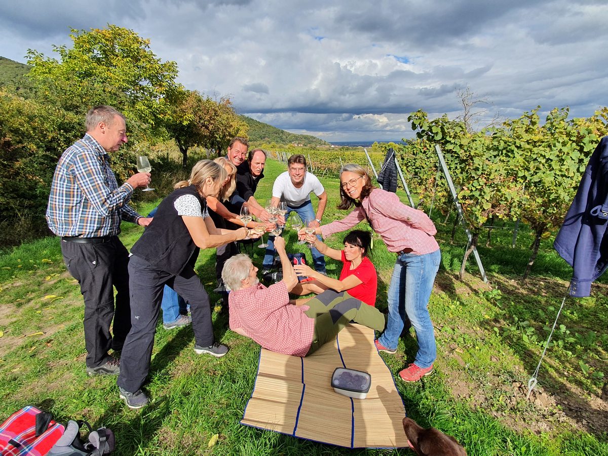 Gruppe stößt bei der After-Work-Weinwanderung in den Weinbergen von Schriesheim an